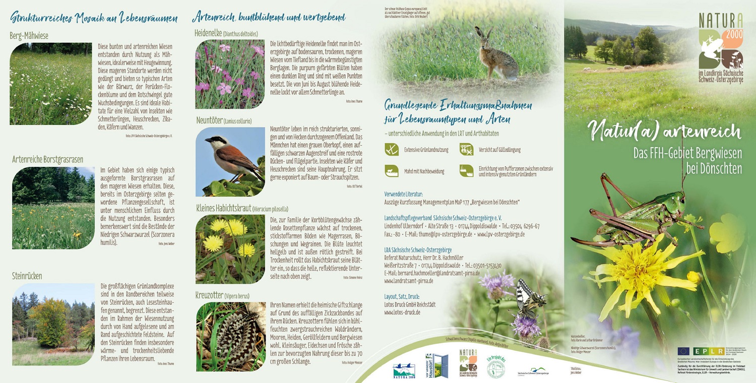 tl_files/downloads/Bilder Projekte/Projektstellen/Natura 2000 2.0/Flyer/Gebietsflyer_Bergwiesen_Doenschten_1.jpg
